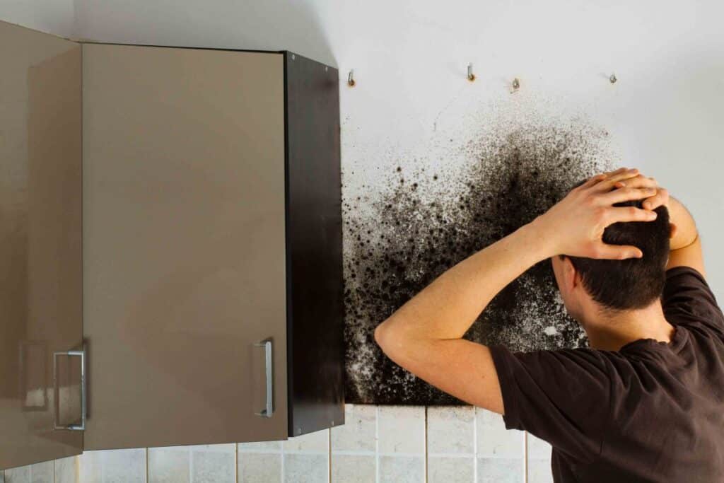Mold removal and cleaning water damage